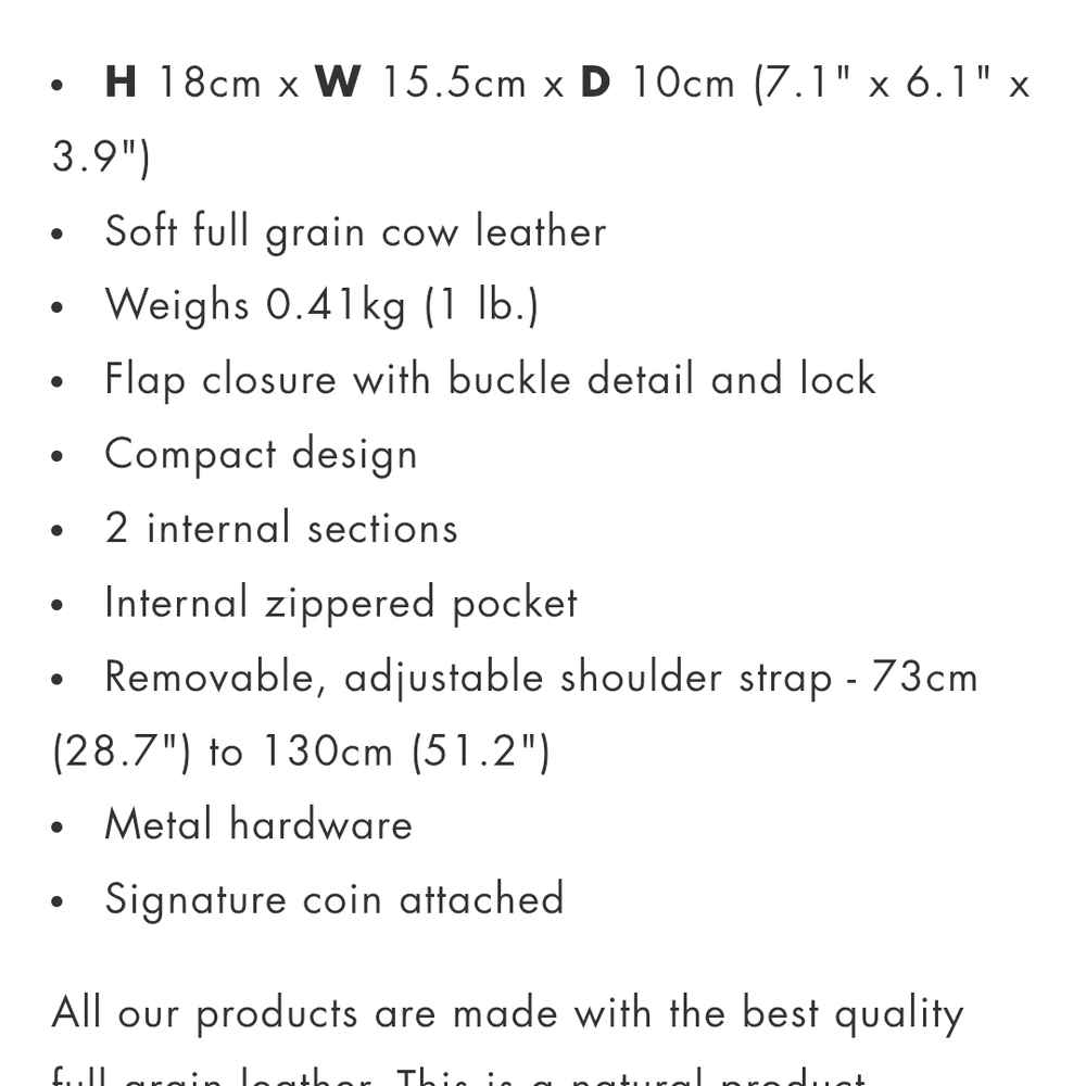 Elegant Leather Crossbody Bag with Buckle Detail - Picture 3 of 3